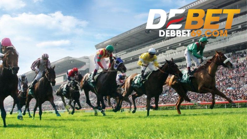 Cá Cược Đua Ngựa Debet 
